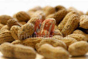 غذاهای آلرژی زا
